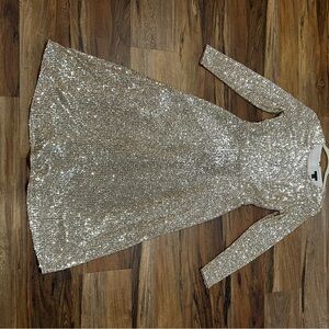 Ann Taylor Silver Sequin Dress